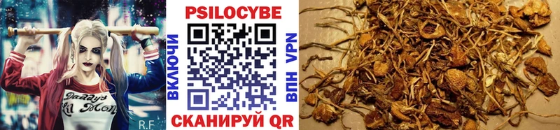 Псилоцибиновые грибы Magic Shrooms  как найти закладки  Шахты 